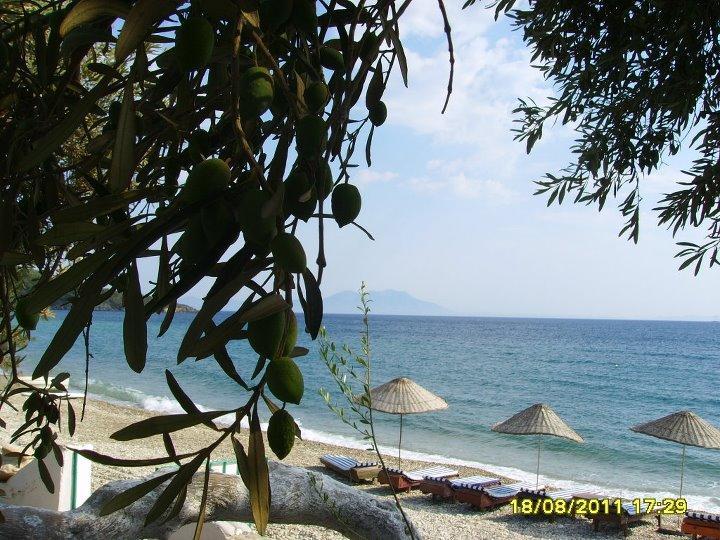 Ege Pansiyon Hostel Bodrum Exterior photo