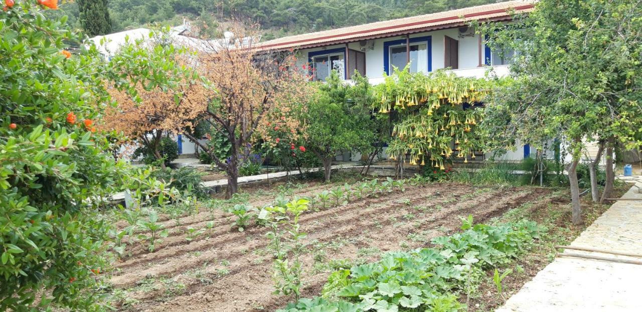 Ege Pansiyon Hostel Bodrum Exterior photo